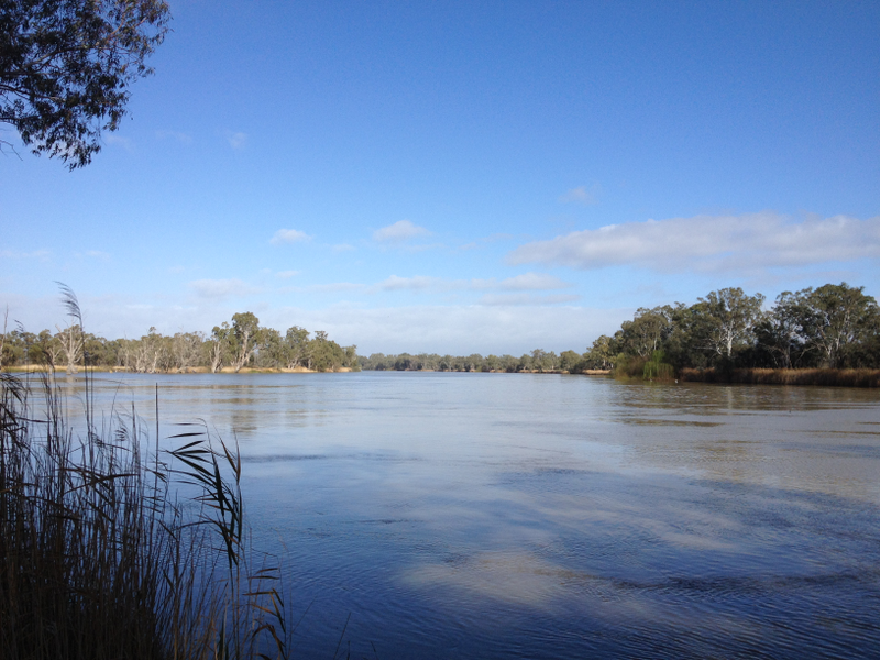 Illustration for article titled Roamin' the Riverland.